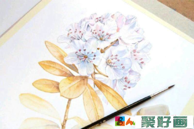 一组很美的花朵<a href=../zhonglei/shuicaihua/ target=_blank class=infotextkey>水彩画</a>作品图片 女生看到了都会喜欢的_www.youyix.com