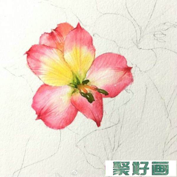 六出花智利百合水彩画手绘教程图片 六出花水彩画怎么画 六出花的画法_www.youyix.com