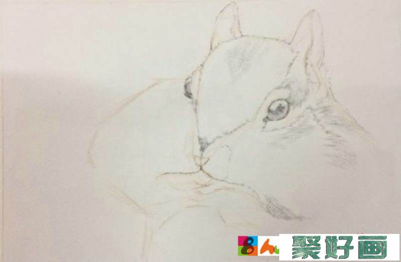 可爱贪吃的小松鼠水彩画图片 松鼠水彩手绘教程 松鼠的画法 怎么画_www.youyix.com