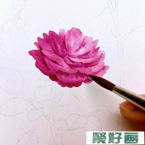 月季水彩画手绘教程图片 月季水彩画画法 月季花的水彩画怎么画_www.youyix.com