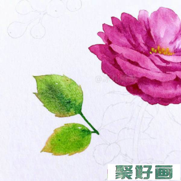 月季水彩画手绘教程图片 月季水彩画画法 月季花的水彩画怎么画_www.youyix.com