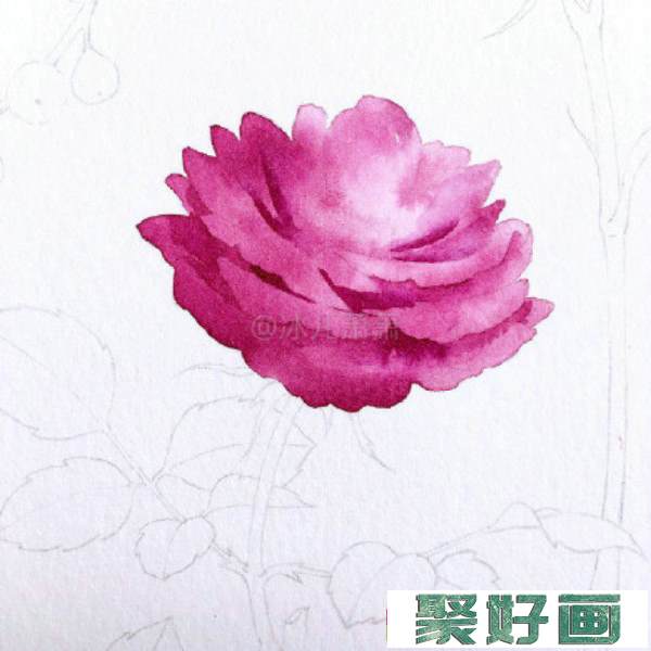 月季水彩画手绘教程图片 月季水彩画画法 月季花的水彩画怎么画_www.youyix.com