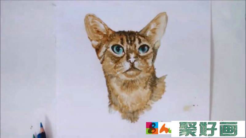【多款水彩猫咪教程】各种姿势的猫咪水彩手绘教程 猫咪水彩的画法_www.youyix.com