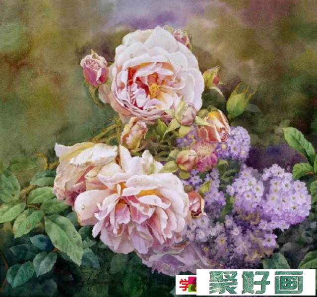精湛的玫瑰画水彩画图片 黄有维作品_www.youyix.com
