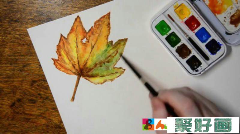 【水彩枫叶】简单唯美的枫叶水彩画法 用水彩怎么画树叶 树叶的画法_www.youyix.com