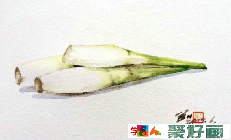 蔬菜茭白水彩画图片 茭白水彩怎么画 茭白的画法 茭白手绘教程_www.youyix.com