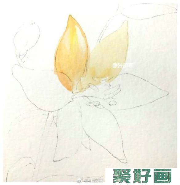 百合花水彩画手绘教程图片 百合花水彩的画法 百合花水彩上色步骤_www.youyix.com