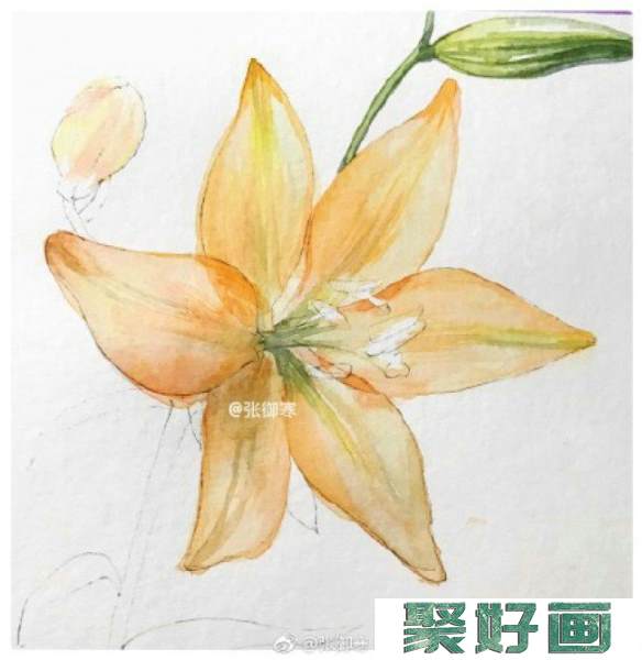 百合花水彩画手绘教程图片 百合花水彩的画法 百合花水彩上色步骤_www.youyix.com