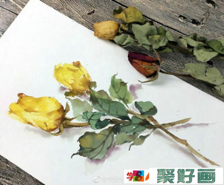 枯萎凋谢的玫瑰花水彩画图片 凋谢的玫瑰花卉手绘教程画法_www.youyix.com