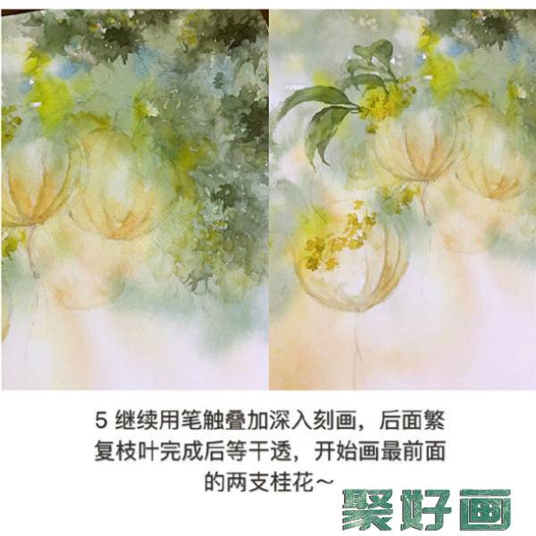 水彩画树教程：桂花树的水彩画画法教学