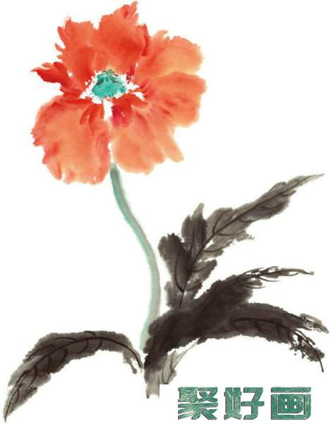 国画画花卉教程：手绘虞美人