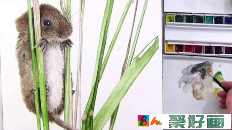 【视频】可爱的小老鼠水彩画手绘视频教程 较为写实的画法_www.youyix.com
