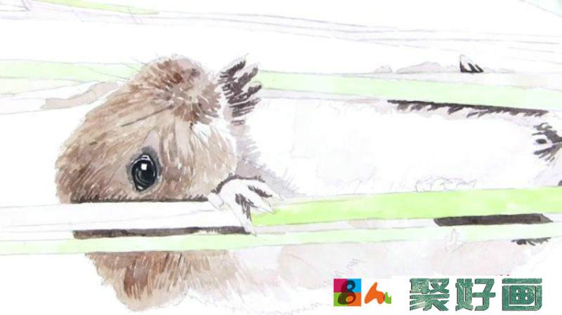 【视频】可爱的小老鼠水彩画手绘视频教程 较为写实的画法_www.youyix.com