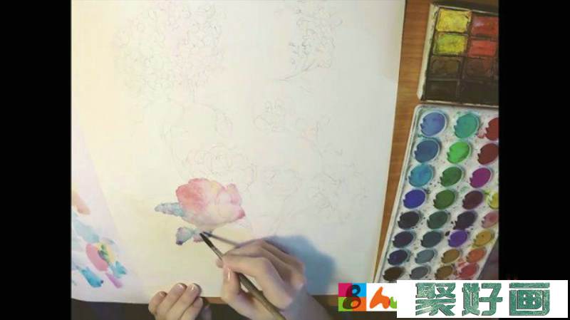 【视频】很美的水彩花卉植物手绘视频教程 多个植物花朵 蜂鸟唯美画面_www.youyix.com
