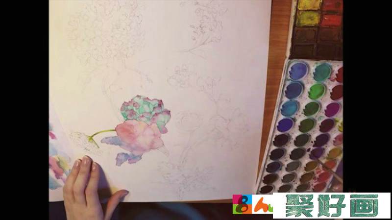 【视频】很美的水彩花卉植物手绘视频教程 多个植物花朵 蜂鸟唯美画面_www.youyix.com