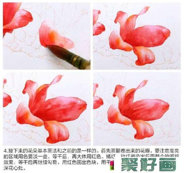 水彩画教程：教你画木棉花