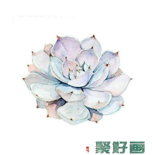 各种好看的多肉植物水彩画图片素材 精美多肉水彩怎么画_www.youyix.com