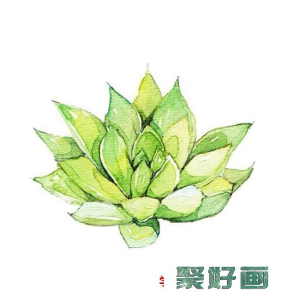 各种好看的多肉植物水彩画图片素材 精美多肉水彩怎么画_www.youyix.com