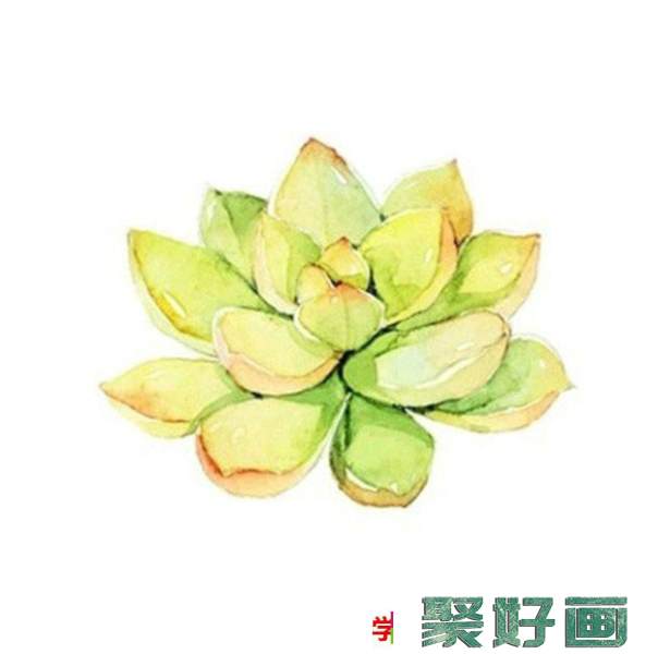 各种好看的多肉植物水彩画图片素材 精美多肉水彩怎么画_www.youyix.com