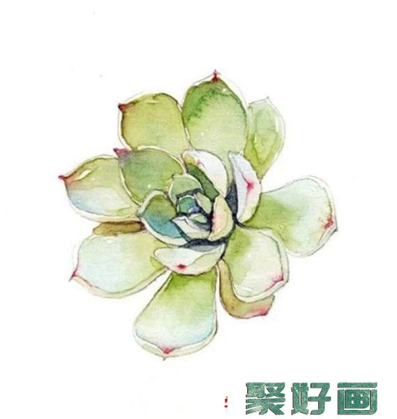 各种好看的多肉植物水彩画图片素材 精美多肉水彩怎么画_www.youyix.com