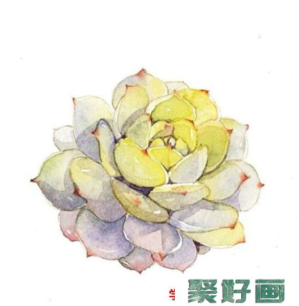 各种好看的多肉植物水彩画图片素材 精美多肉水彩怎么画_www.youyix.com