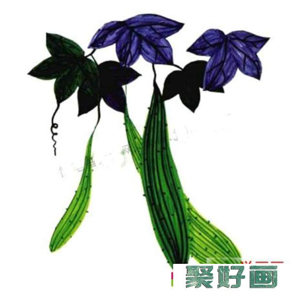 植物水彩画入门基础教程_黄瓜的画法步骤