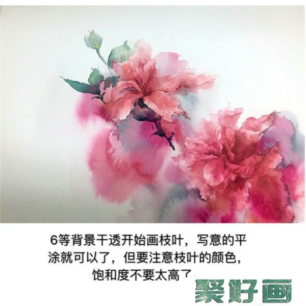 怎么画扶桑花?扶桑花水彩画教程