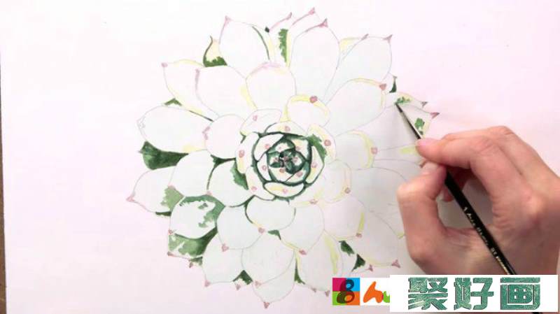 【视频】绿色的多肉植物花卉水彩画手绘视频教程 多肉水彩的画法简单_www.youyix.com