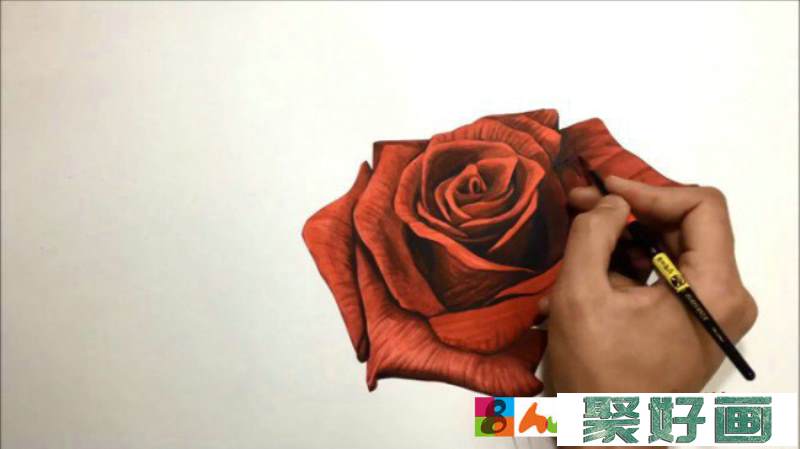 【视频】好看的纯红色玫瑰花水彩画视频教程 比较写实的画法怎么画_www.youyix.com