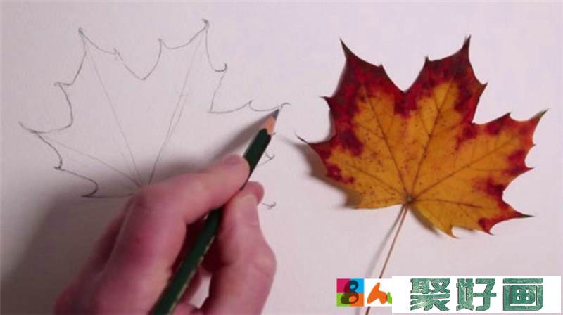 枫叶怎么画?简单逼真的枫叶水彩画教程