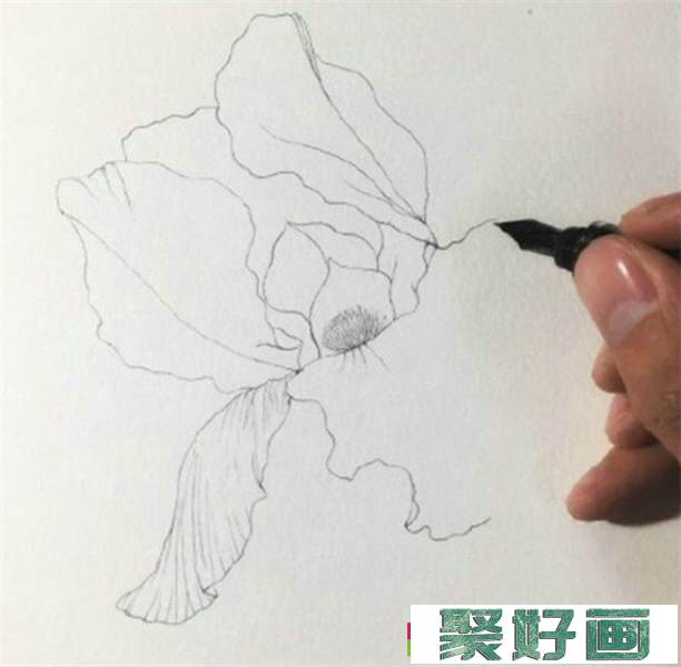 鸢尾花怎么画?简单的水彩画鸢尾花画法