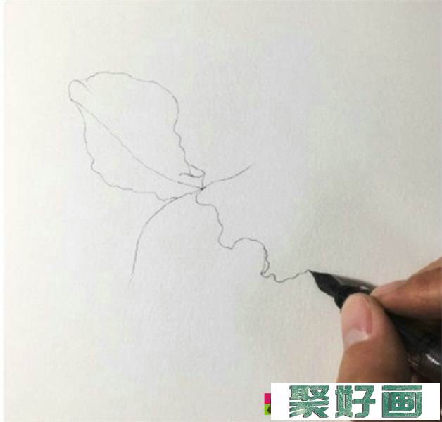 鸢尾花怎么画?简单的水彩画鸢尾花画法