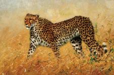 野生动物油画素材: 豹子