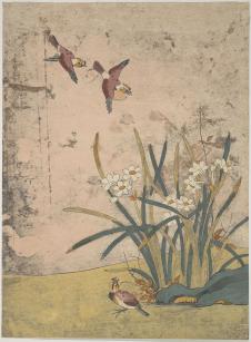 浮世绘画家铃木春信 水仙花浮世绘欣赏
