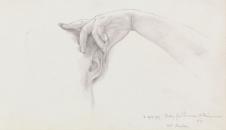 阿尔玛·达德玛作品: 手的素描习作