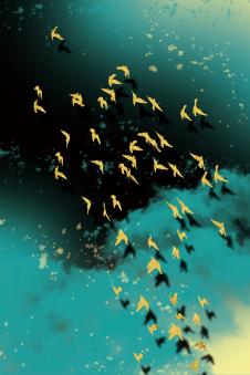 现代晶瓷画素材: 一群金色飞鸟装饰画欣赏