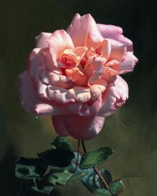 阿列克谢安东诺夫油画作品: 骄傲的玫瑰油画 超写实花卉油画下载
