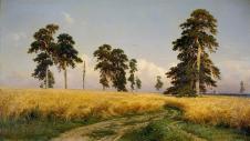 希施金高清风景油画作品  黑麦地  大图欣赏