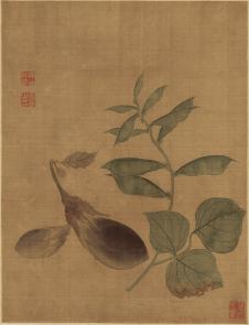 清 恽寿平 花果蔬菜-4-1 （茄子图）绢本