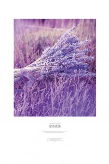 紫色花语系列: 薰衣草装饰画 A