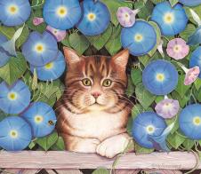 田园猫水彩画系列: 牵牛花丛里的猫猫