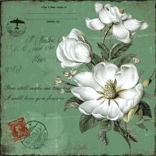 欧式二联花卉装饰画素材: 白玉兰花