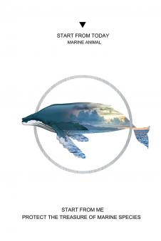 动物与几何图形: 穿过圆形的鲸鱼