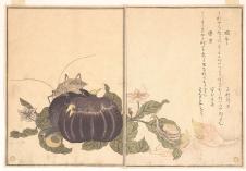 喜多川歌磨作品: 南瓜和蜗牛