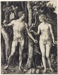 丢勒素描:亚当和夏娃