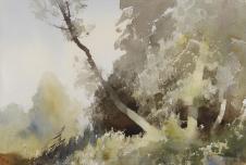 爱德华西戈作品: 树木水彩画
