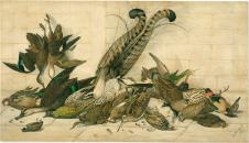 内维尔·威廉·凯莱（Neville William Cayley）not titled (Australian gamebirds) 澳大利亚猎鸟