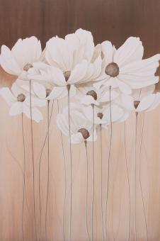 现代欧式简约高清装饰画素材下载: 白色罂粟花