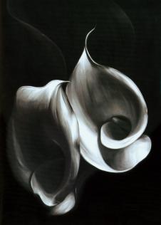 三联黑白花卉油画素材: 马蹄莲装饰画