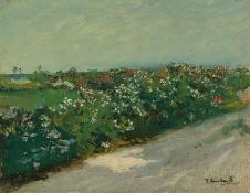 索罗拉油画作品:路边的野花